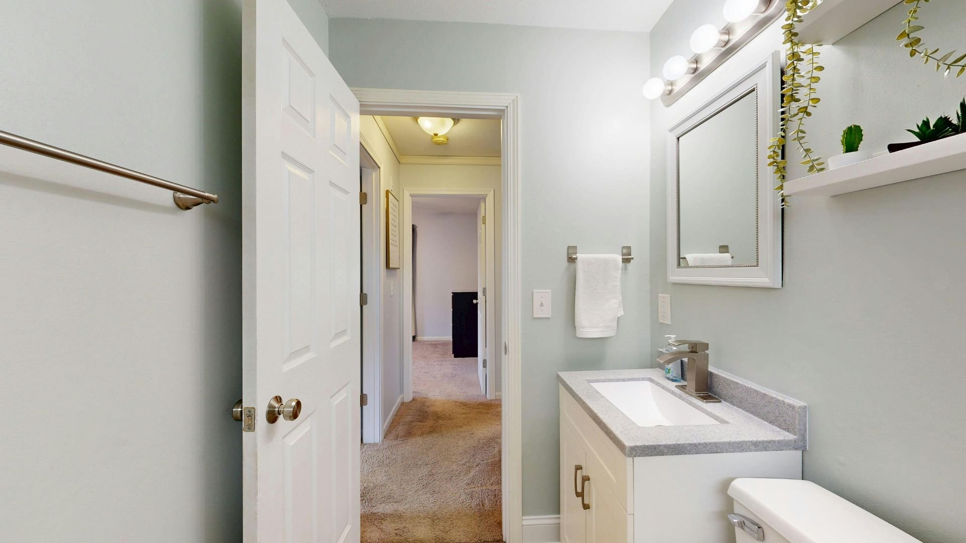Modern white bathroom with hanging plants and view into hallway